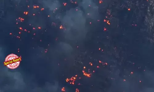 ലോസ് ഏഞ്ചല്‍സിനെ വിറപ്പിച്ച് താണ്ഡവമാടിയ കാട്ടുതീ ആദ്യം തീപ്പൊരിയായി പുകഞ്ഞുപടര്‍ന്നത് ചൊവ്വാഴ്ച രാവിലെ 10 ന്; ദൃശ്യങ്ങള്‍ പുറത്ത്; വന്‍ കാട്ടുതീയില്‍ പൊലിഞ്ഞത് അഞ്ചുജീവന്‍; ഹോളിവുഡ് താരങ്ങളുടെ അടക്കം ബംഗ്ലാവുകള്‍ ചാരമായി; വീടുകളെ കാര്‍ന്നുതിന്ന ഭീകരത