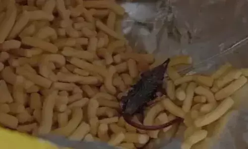 പ്രമുഖ കമ്പനിയുടെ ലഘുഭക്ഷണ പാക്കറ്റില്‍ ചത്ത എലി; ഗുജറാത്തില്‍ ഒരു വയസുകാരിയെ ആശുപത്രിയില്‍ പ്രവേശിപ്പിച്ചു