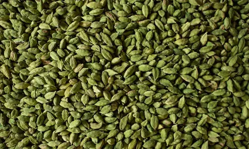 ഉത്പാദനം കുറഞ്ഞു; ഏലയ്ക്കാ വില നാലു വര്‍ഷത്തിനിടയിലെ ഏറ്റവും ഉയര്‍ന്ന നിലയില്‍