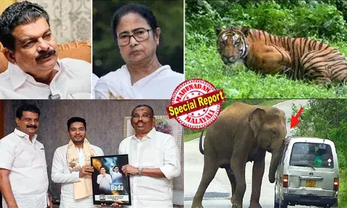 കേരളത്തില്‍ സെക്രട്ടേറിയറ്റിന് അകത്ത് വരെ പുലി വരുമെന്ന് പരിഹസിക്കുന്ന പി വി അന്‍വര്‍ സഹായത്തിനായി ഓടിയത് ബംഗാളില്‍ മമതയുടെ അടുത്തേക്ക്; കേരളത്തെ അപേക്ഷിച്ച് കാട്ടാന- കടുവയാക്രമണങ്ങളില്‍ കൂടുതല്‍ മനുഷ്യര്‍ കൊല്ലപ്പെട്ടത് ബംഗാളില്‍; അന്‍വര്‍ ആദ്യം പരിഹാരം കാണേണ്ടത് തൃണമൂലിന്റെ നാട്ടിലെ വന്യജീവി ശല്യത്തിന്