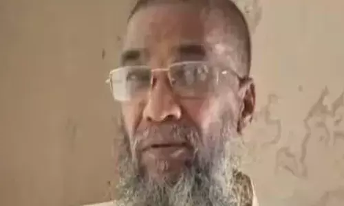 വീട്ടു മുറ്റത്ത് കഞ്ചാവ് ചെടി നട്ടു വളര്‍ത്തിയ കേസ്; വയോധികന് 12 വര്‍ഷം തടവും പിഴയും