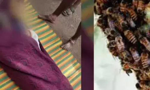 തേനീച്ചകളുടെ ആക്രമണത്തിൽ നിന്ന് രക്ഷപ്പെടാൻ കനാലിൽ ചാടി; കർഷകന് ദാരുണാന്ത്യം; സംഭവം ചിറ്റൂരിൽ