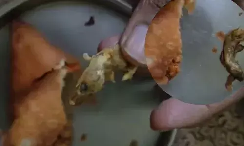 ഇരിങ്ങാലക്കുട ബസ് സ്റ്റാന്‍ഡിലെ കടയില്‍നിന്ന് പാഴ്സല്‍ വാങ്ങിയ സമൂസയില്‍ പല്ലിയുടെ അവശിഷ്ടം; ആരോഗ്യവകുപ്പ് അധികൃതര്‍ പരിശോധന നടത്തി; കട താത്കാലികമായി പൂട്ടിച്ചു