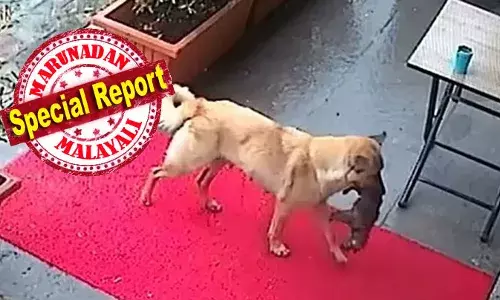 രോഗബാധിതനായ കുഞ്ഞിനെ കടിച്ചെടുത്ത് നായയമ്മ മൃഗാശുപത്രിയിലെത്തി; കുഞ്ഞിന് ഡോക്ടര്‍മാര്‍ ചികിത്സ നല്‍കുന്നത് കണ്ടു നിന്നു; അവിശ്വസനീയമായ ഒരു നായയുടെ കുഞ്ഞിനോടുള്ള വാത്സല്യത്തിന്റെ കഥ