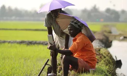 കെഫോണ്‍ ഗ്രാമീണ ഇന്റര്‍നെറ്റ് ഫോട്ടോഗ്രഫി കോണ്ടസ്റ്റ്: വിജയികളെ പ്രഖ്യാപിച്ചു