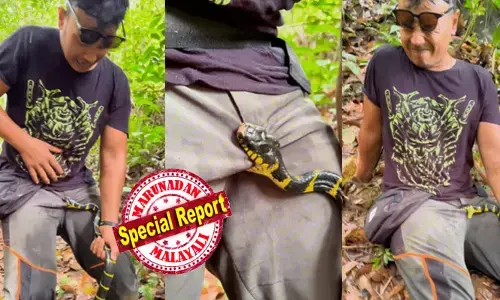 ടാ..മോനെ പിടിവിട് അത് ആവശ്യമുള്ളതാണെ!; പാമ്പുമായി വ്‌ളോഗ് ചെയ്യുന്നതിനിടെ ഇൻഫ്ലുവൻസർക്ക് എട്ടിന്റെ പണി; കടിച്ചത് മർമ്മസ്ഥാനത്ത് തന്നെ; വേദന കൊണ്ട് പുളഞ്ഞ് യുവാവ്; ഇരുന്നും കിടന്നും രക്ഷപ്പെടാൻ ശ്രമം; പിടിവിടില്ലെന്ന മട്ടിൽ പാമ്പും; വൈറലായി വീഡിയോ; സ്വകാര്യഭാഗത്ത് പാമ്പ് കടി കിട്ടിയ വ്‌ളോഗർക്ക് സംഭവിച്ചത്!