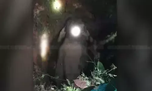 മലപ്പുറത്ത് സ്വകാര്യ വ്യക്തിയുടെ കൃഷിയിടത്തിലെ കിണറ്റില്‍ കാട്ടാന വീണു; രക്ഷപ്പെടുത്താന്‍ ശ്രമം