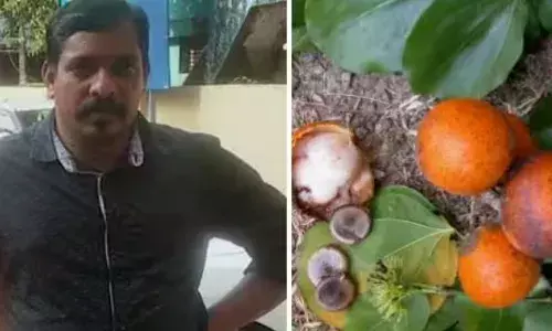 ക്ഷേത്രത്തിലെ ആചാരത്തിന്റെ ഭാഗമായി ലഭിച്ച കാഞ്ഞിരക്കായ എടുത്ത് കഴിച്ചു; വീട്ടിലെത്തിയപ്പോൾ ക്ഷീണവും തലകറക്കവും; പാലക്കാട് യുവാവിന് ദാരുണാന്ത്യം