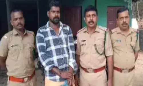 ശല്യം കാരണം കാട്ടുപന്നിയെ വെടിവെച്ച് കൊന്ന് വനംവകുപ്പ്; കുഴിച്ചിട്ടവര്‍ രാത്രിയെത്തി മാന്തിക്കൊണ്ടു പോയി ഇറച്ചിയാക്കി: ഒരാള്‍ അറസ്റ്റില്‍