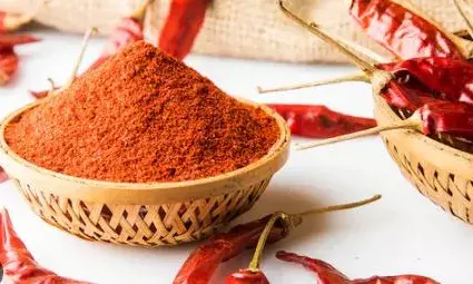 വീണ്ടും പണികിട്ടി..; എല്ലാം തോന്നുന്നതുപോലെ ചെയ്യുന്നു; ഭക്ഷ്യസുരക്ഷ വ്യവസ്ഥകള്‍ ഒന്നും പാലിക്കുന്നില്ല; പതഞ്ജലിയുടെ മുളകുപൊടി വിപണിയില്‍നിന്ന് പിന്‍വലിക്കാന്‍ നിർദ്ദേശം