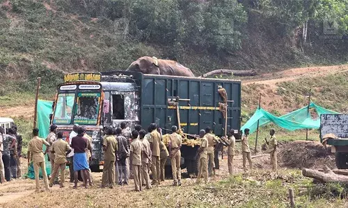അരിക്കൊമ്പന് കൂട്ടായി ഇനി ബുള്ളറ്റ് രാജയും; നല്ല പാഠം പഠിക്കുന്നിതനായി ആന വളര്‍ത്തുകേന്ദ്രത്തില്‍ പാര്‍പ്പിച്ചിരുന്ന ബുള്ളറ്റ് രാജയെ മുതുകുളിയില്‍ തുറന്നുവിട്ടു; തുറന്ന് വിടുന്നത് പിടികൂടി 25 ദിവസങ്ങള്‍ക്ക് ശേഷം
