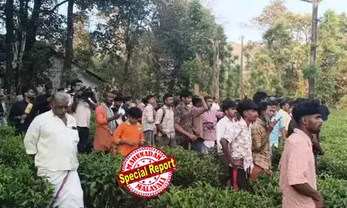 പഞ്ചാരക്കൊല്ലിയില്‍ വീണ്ടും നരഭോജി കടുവയെ കണ്ടെന്ന് നാട്ടുകാര്‍;  തിരച്ചില്‍  ഊര്‍ജിതമാക്കി വനംവകുപ്പ്;  ദൗത്യം വൈകുന്നതില്‍ പ്രതിഷേധം കടുപ്പിച്ച് പ്രദേശവാസികള്‍;   കടുവയെ കണ്ടെത്താന്‍ ഡ്രോണ്‍ പരിശോധന; മേഖലയില്‍ പൊലീസിന്റെ ജാഗ്രത നിര്‍ദേശം