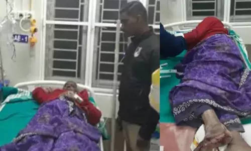 വാല്‍പ്പാറയില്‍ കാട്ടാന ആക്രമണത്തില്‍ വയോധികയ്ക്ക് പരിക്കേറ്റു; തുമ്പിക്കൈ കൊണ്ട് തട്ടി വീഴ്ത്തി കാല്‍ ചവിട്ടി ഒടിച്ചു