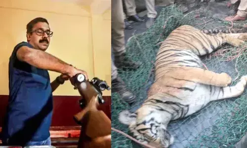 കടുവയെ വെടിവെച്ചിട്ടില്ല; ശരീരത്തിലെ മുറിവുകള്‍ക്ക് ദിവസങ്ങളുടെ പഴക്കം; ഏറ്റുമുട്ടലില്‍ സംഭവിച്ചതാകാം: അരുണ്‍ സക്കറിയ