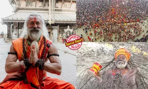 ഏഴടി പൊക്കമുള്ള മസ്‌ക്കുലാര്‍ ബാബ തൊട്ട് മൂന്നടി മാത്രമുള്ള ലില്ലിപ്പുട്ട് ബാബ വരെ; ആംഗ്യഭാഷയിലൂടെ കോച്ചിങ് കൊടുക്കുന്ന ഐഎഎസ് ബാബയും, ഉന്നത വിദ്യാഭ്യാസമുള്ള ഐഐടി ബാബയും; ശിരസില്‍ കൃഷി നടത്തുന്നവരും, പ്രാവിനെ വളര്‍ത്തുന്നവരും; മഹാകുംഭമേളയിലെ സന്യാസി വൈവിധ്യങ്ങള്‍ ഇങ്ങനെ