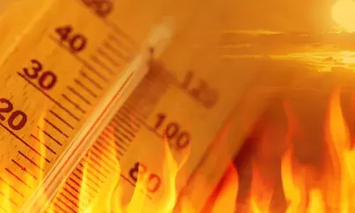 സംസ്ഥാനത്ത് ഇനി കൊടുംചൂടിന്റെ ദിനങ്ങള്‍; 2025ല്‍ കഴിഞ്ഞ വര്‍ഷത്തേക്കാളും ചൂടുകൂടുമെന്ന് കേന്ദ്ര കാലാവസ്ഥാ വകുപ്പ്