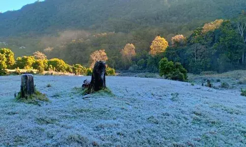 മൂന്നാര്‍ വീണ്ടും അതിശൈത്യത്തിന്റെ പിടിയില്‍; മൂന്നാഴ്ചയ്ക്ക് ശേഷം  താപനില വീണ്ടും പൂജ്യം ഡിഗ്രിയില്‍
