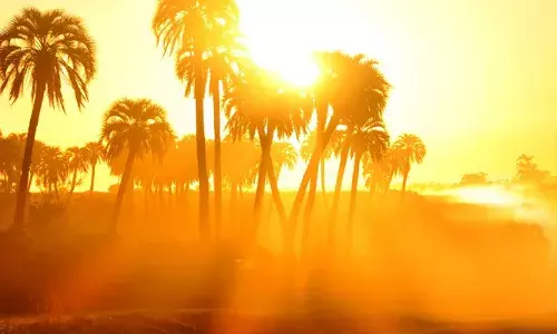 സംസ്ഥാനത്ത് ഇന്നും ചൂട് കൂടും; രണ്ട് മുതല്‍ മൂന്ന് ഡിഗ്രി സെല്‍ഷ്യസ് വരെ താപനില ഉയരാന്‍ സാധ്യത