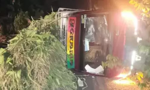 ചോളപ്പുല്ല് കയറ്റി വരവേ അപകടം; കുറ്റ്യാടി ചുരം റോഡിൽ പിക്കപ്പ് വാന്‍ മറിഞ്ഞു; അത്ഭുത രക്ഷപ്പെടൽ; ഒഴിവായത് വൻ ദുരന്തം