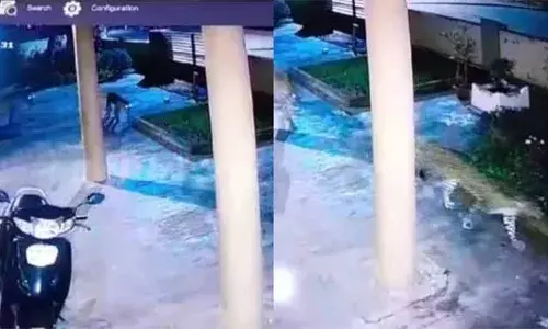 ബെംഗളൂരു നഗരത്തില്‍ വീണ്ടും പുലി; അപ്പാര്‍ട്‌മെന്റ് പാര്‍ക്കിങ് ഏരിയയില്‍ അലഞ്ഞു തിരിയുന്ന പുലിയുടെ ദൃശ്യം പുറത്ത്; ജാഗ്രത പാലിക്കാന്‍ നിര്‍ദേശം