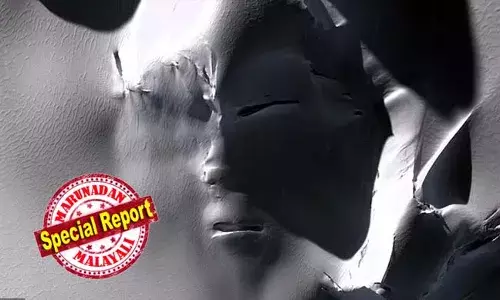 അന്റാര്‍ട്ടിക്കയില്‍ അന്യഗ്രഹജീവിയെ കണ്ടെത്തിയോ? അന്യഗ്രഹ ജീവിയുടെ മുഖം പോലെ തോന്നിക്കുന്ന ഒരു രൂപം കണ്ടെത്തിയെന്ന് റിപ്പോര്‍ട്ടുകള്‍;  റെഡിറ്റ് പേജില്‍ പങ്ക് വെച്ച ഒരു ഉപഗ്രഹ ചിത്രത്തെ പിന്‍പറ്റി സജീവ ചര്‍ച്ച