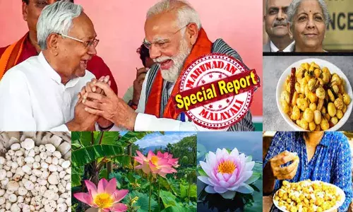 ചൂടായ പാനില്‍ നെയ്യും കറിവേപ്പിലയും താമര വിത്തും ചേര്‍ത്തു നല്ല ക്രിസ്പിയാകും വരെ ഏകദേശം 6-8 മിനിറ്റ് റോസ്റ്റ് ചെയ്യൂ; ഉപ്പും പഞ്ചസാരയും മഞ്ഞള്‍പ്പൊടിയും മുളകുപൊടിയും ചേര്‍ത്തു മസാല രണ്ടു മിനിറ്റോളം ചേര്‍ത്തിളക്കി യോജിപ്പിച്ചെടുത്താല്‍ സൂപ്പര്‍; രാജ്യത്ത് ഇനി കൂടുതല്‍ താമര വിരിയും; താമര പ്രോട്ടീനില്‍ ബീഹാര്‍ വീണ്ടും പിടിക്കാന്‍ മോദി! എന്താണ് മഖാന?