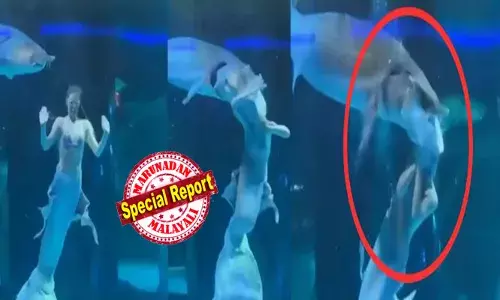 അക്വേറിയത്തിലെത്തുന്ന സന്ദർശകരെ രസിപ്പിച്ച് മത്സ്യകന്യക; മനോഹരമായി പ്രകടനം നടത്തി സുന്ദരി; കുഞ്ഞുങ്ങളടക്കം പരിപാടി ആസ്വദിച്ചു; പെട്ടെന്ന് അപ്രത്യക്ഷ്യത ആക്രമണം; ഇരയെന്ന് കരുതി ഇരച്ചെത്തി സ്രാവ്; കടിച്ചത് തലയില്‍; കാഴ്ച കണ്ട് പലരും നിലവിളിച്ചു; യുവതിക്ക് അത്ഭുത രക്ഷപ്പെടല്‍; ഭയപ്പെടുത്തി ദൃശ്യങ്ങൾ