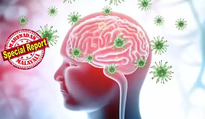 നിപ വൈറസിന്റെ ഇനത്തില്പ്പെടുന്ന മാരക വൈറസ്;  ക്യാമ്പ് ഹില് വൈറസ് അമേരിക്കയില് സ്ഥിരീകരിച്ചതോടെ ലോകത്തിന് ആശങ്ക; അതിവേഗ വ്യാപന ശേഷി; വവ്വാലുകളില് നിന്ന് മനുഷ്യരിലേക്കും മറ്റു മൃഗങ്ങളിലേക്കും പകരും; നാഡികളെയും ശ്വാസകോശത്തെയും ബാധിക്കുന്ന വൈറസ് മരണത്തിനും കാരണമാകാം നിപ വൈറസിന്റെ ഇനത്തില്പ്പെടുന്ന മാരക വൈറസ്;  ക്യാമ്പ് ഹില് വൈറസ് അമേരിക്കയില് സ്ഥിരീകരിച്ചതോടെ ലോകത്തിന് ആശങ്ക; അതിവേഗ വ്യാപന ശേഷി; വവ്വാലുകളില് നിന്ന് മനുഷ്യരിലേക്കും മറ്റു മൃഗങ്ങളിലേക്കും പകരും; നാഡികളെയും ശ്വാസകോശത്തെയും ബാധിക്കുന്ന വൈറസ് മരണത്തിനും കാരണമാകാം