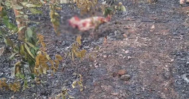 ചപ്പു ചവറിനിട്ട തീയില്‍ നിന്ന് റബര്‍ തോട്ടത്തിലെ അടിക്കാടുകള്‍ക്ക് തീ പിടിച്ചു; അണയ്ക്കാനുള്ള ശ്രമത്തിനിടെ തീയില്‍ അകപ്പെട്ട വീട്ടമ്മ വെന്തു മരിച്ചു