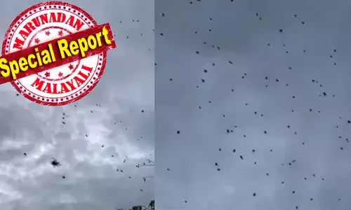 ആകാശത്ത് നിന്ന് താഴേക്കിറങ്ങി ചിലന്തികള്‍; കണ്ടാല്‍ ചിലന്തിമഴ പെയ്യുന്നതുപോലെ; കുറേയധികം ചിലന്തികള്‍ വലിപ്പമേറിയ വലയില്‍ ഒന്നിച്ചെത്തിയതാണ് കാരണമെന്ന് വിദ്ഗധര്‍; സംഭവം ബ്രസീലില്‍; നിമിഷ നേരംകൊണ്ട് സമൂഹമാധ്യമങ്ങളില്‍ വൈറലായി വീഡിയേ