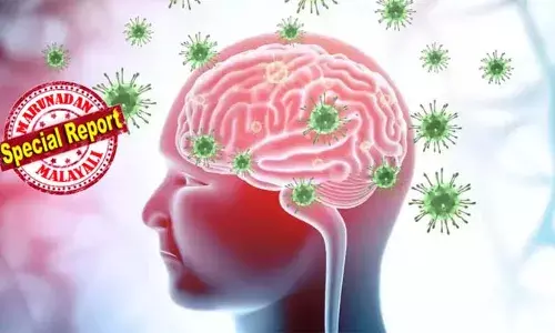 നിപ വൈറസിന്റെ ഇനത്തില്‍പ്പെടുന്ന മാരക വൈറസ്;  ക്യാമ്പ് ഹില്‍ വൈറസ് അമേരിക്കയില്‍ സ്ഥിരീകരിച്ചതോടെ ലോകത്തിന് ആശങ്ക; അതിവേഗ വ്യാപന ശേഷി; വവ്വാലുകളില്‍ നിന്ന് മനുഷ്യരിലേക്കും മറ്റു മൃഗങ്ങളിലേക്കും പകരും; നാഡികളെയും ശ്വാസകോശത്തെയും ബാധിക്കുന്ന വൈറസ് മരണത്തിനും കാരണമാകാം