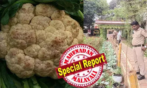 മന്ത്രി അപ്പൂപ്പന്‍ നമ്മുടെ സ്‌കൂളില്‍ വന്നതല്ലേ; അഭിനന്ദിച്ചതല്ലേ; ഇപ്പോള്‍ നമ്മുടെ ഉച്ചഭക്ഷണത്തിന് ആവശ്യമായി പച്ചക്കറി ആരോ കട്ടോണ്ടുപോയി; വലിയ സങ്കടമുണ്ട്; കള്ളന്‍മാര്‍ സ്‌കൂളില്‍ കയറാതെ ഇരിക്കാന്‍ പോലീസ് മാമന്‍മാരോട് പറയണം; കോളിഫ്‌ളവര്‍ മോഷണം പോയി; മന്ത്രിക്ക് പരാതി നല്‍കി കുട്ടികള്‍