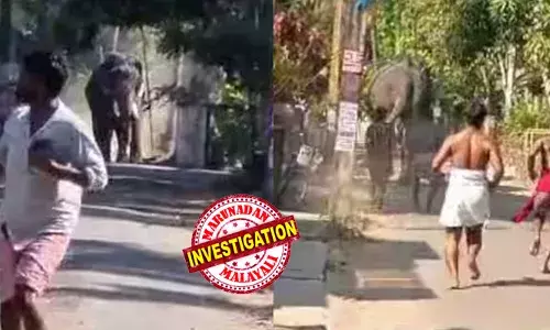 ക്ഷേത്ര ഉത്സവത്തിന് എത്തിച്ച ആന കുളിപ്പിക്കുന്നതിനിടെ ഇടഞ്ഞു;  പാപ്പാനെ കുത്തി വീഴ്ത്തി ഓടിയ ആന മറ്റൊരാളെയും ആക്രമിച്ചു;  ആലപ്പുഴ സ്വദേശിക്ക് ദാരുണാന്ത്യം; പരുക്കേറ്റ പാപ്പാന്റെ നില ഗുരുതരം; ആനയെ തളച്ചു