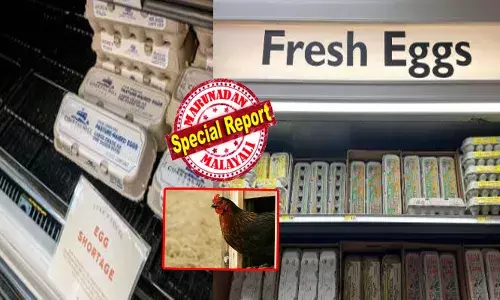 അമേരിക്കയിൽ പക്ഷിപ്പനി പടരുന്നു; പിന്നാലെ കുതിച്ചുയർന്ന് മുട്ട വില; കഴിഞ്ഞ വർഷത്തെക്കാളും 65 ശതമാനം വർധനവ്; ഭക്ഷണമേശയിൽ എത്താൻ കുറച്ച് ബുദ്ധിമുട്ടും; വില ഇനിയും ഉയരാൻ സാധ്യത; തലവേദനയായി മുട്ട കള്ളന്മാരും; ട്രെക്ക് കൊള്ളയടിച്ച് അജ്ഞാതർ; ലക്ഷങ്ങളുടെ നഷ്ടം; മുട്ട ചതിയിൽ പൊറുതിമുട്ടി യു.എസ് ജനത!