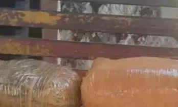 തൃശൂർ റെയിൽവേ സ്റ്റേഷനിൽ വൻ കഞ്ചാവ് വേട്ട; ഉപേക്ഷിക്കപ്പെട്ട നിലയിൽ ബാഗുകൾ; പരിശോധനയിൽ കണ്ടത്; 197 കിലോ വരെ പിടിച്ചെടുത്ത് ആർപിഎഫ്