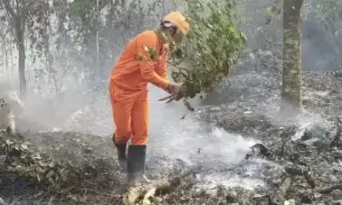അടിക്കാടിന് തീയിട്ടു; ശക്തമായ കാറ്റിനെ തുടര്‍ന്ന് പണികിട്ടി; ഇടപെട്ട് അഗ്നിരക്ഷാ സേന; കോടഞ്ചേരിയില്‍ കശുമാവിന്‍ തോട്ടം കത്തിനശിച്ചു
