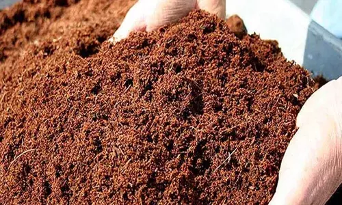 പത്ത് വര്‍ഷം കൊണ്ട് കയറ്റി അയച്ചത് 50 ടണ്‍ ചകിരിച്ചോര്‍;  ഇന്ത്യ നേടിയെടുത്തത് 13,000 കോടി രൂപ