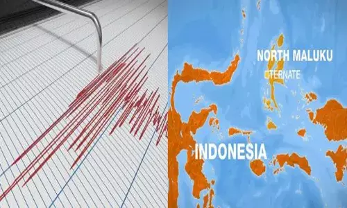 ഇന്തോനേഷ്യയിലെ വടക്കൻ മലുകുവിൽ ഭൂചലനം; 6.1 തീവ്രത രേഖപ്പെടുത്തി; ജനങ്ങൾ പരിഭ്രാന്തിയിൽ; ജാഗ്രത വേണമെന്ന് അധികൃതർ; സുനാമി മുന്നറിയിപ്പ് നൽകിയിട്ടില്ല