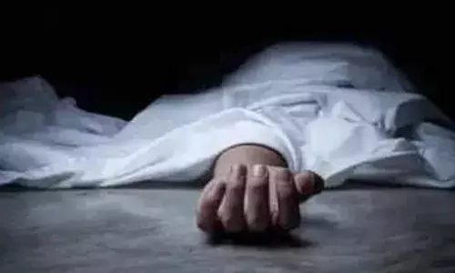 കാഴ്ചപരിമിതിയുള്ള ഭര്‍ത്താവിന് മുന്നില്‍ ഭാര്യ കാറിടിച്ച് മരിച്ചു; അപകടം എതിര്‍വശത്തെ ഹോട്ടലില്‍നിന്ന് പശുവിന് കഞ്ഞിവെള്ളവുമായി നടന്നുവരുന്നതിനിടെ