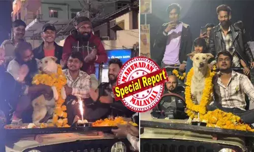 ഞാൻ ആരാ ചേട്ടാ..; തുറന്ന ജീപ്പിൽ ലൂഡോ കുട്ടനുമായി നഗരംചുറ്റൽ; പടക്കം പൊട്ടിച്ചും ആർപ്പുവിളികളോടും സ്വീകരിച്ച് യുവാക്കൾ; കേക്ക് മുറിച്ച് ആഘോഷം; ഭായ് യുടെ കണ്ണ് അറിയാതെ നിറഞ്ഞു; ഒരു തെരുവു നായയുടെ ജന്മദിനം ആഘോഷമാക്കിയപ്പോൾ നടന്നത്!