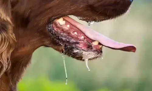 രണ്ടാഴ്ച മുമ്പ് തെരുവു നായ ആക്രമിച്ച കാര്യം വീട്ടില്‍ പറഞ്ഞില്ല; പനി ബാധിച്ച് ആശുപത്രിയിലെത്തിയതോടെ കണ്ടെത്തിയത് പേ വിഷബാധയുടെ ലക്ഷണം: ഒന്‍പതു വയസ്സുകാരന് വേണ്ടി പ്രാര്‍ത്ഥനയുമായി ഒരു നാട്