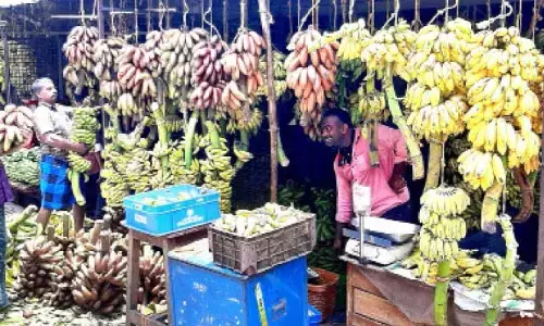 പഴ വിപണി കുതിക്കുന്നു; സര്‍വ്വകാല റെക്കോര്‍ഡിലേക്ക് ഉയര്‍ന്ന് നേന്ത്രപ്പഴം