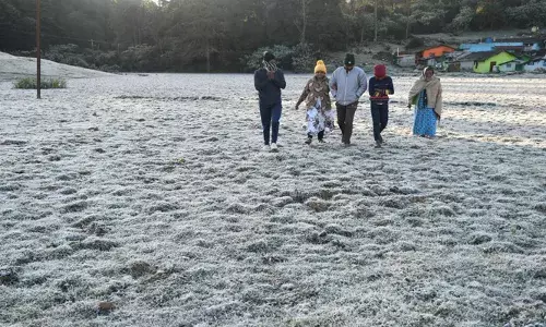 പകല്‍ നല്ല ചൂടും രാത്രിയില്‍ തണുപ്പും രാവിലെ അതിശൈത്യവും;  ഫെബ്രുവരിയിലും മഞ്ഞില്‍ കുളിച്ച് ഊട്ടി