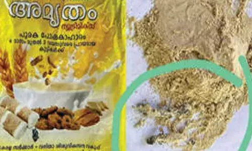കുഞ്ഞിന് കുറുക്ക് ഉണ്ടാക്കാന്‍ വീട്ടുകാര്‍ കവര്‍പൊട്ടിച്ചു; കണ്ടത് രണ്ട് ചത്ത പല്ലികളെ; അങ്കണവാടിയില്‍ വിതരണം ചെയ്ത അമൃതംപൊടിയിലാണ് പല്ലികളെ കണ്ടത്തെിയത്; പരാതി നല്‍കി