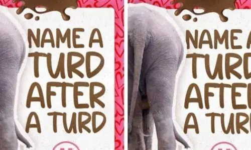 ഡേറ്റിംഗ് അല്ലെങ്കിൽ ഡംപിംഗ്; മുൻ കാമുകിക്ക് വാലന്റൈൻസ് ദിന സമ്മാനമായി ആന പിണ്ഡം ഇടുന്ന വീഡിയോ നൽകാം; അവസരമൊരുക്കി മൃഗശാല; സമാഹരിക്കുന്ന പണം മൃഗശാലയിലെ ജീവികളുടെ പരിപാലനത്തിനായി