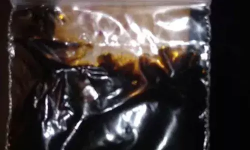 പത്തനംതിട്ടയില്‍ വ്യാപക പരിശോധന;  കഞ്ചാവും ഹാഷിഷ് ഓയിലും പിടികൂടി; മൂന്നു പേരെ അറസ്റ്റ് ചെയ്തു