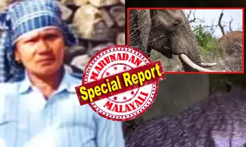 നാല് ദിവസത്തിനിടെ കാട്ടാന ആക്രമണത്തില്‍ ഇടുക്കിയ്ക്ക് നഷ്ടപ്പെട്ടത് രണ്ട് ജീവനകളെ; ഈ വര്‍ഷത്തെ ആദ്യ ആറ് ആഴ്ചക്കുള്ളില്‍ ആന കൊന്നത് ഏഴ് പേരെ; കൊമ്പുകുത്തി വര്‍ഷങ്ങളായി കാട്ടാന ഭീതിയില്‍; സോഫിയാ ഇസ്മയിലിനെ കൊന്നിട്ടും കലിതീരാതെ ഏറെ നേരം മൃതദേഹത്തിന് അടുത്ത് നിലയുറപ്പിച്ച കൊമ്പന്‍; ആന ഭീതി മലയോരത്തെ വിറപ്പിക്കുമ്പോള്‍