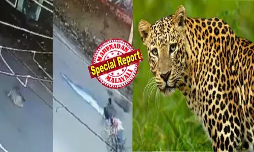 ആരാണ്...എന്താണ്..; രാത്രി പാലുമായി ബൈക്കില്‍ പോകവെ മതിലിനപ്പുറത്ത് തിളങ്ങുന്ന കണ്ണുകൾ; സൂക്ഷിച്ചു നോക്കി പാൽക്കാരൻ; പെട്ടെന്ന് ബൈക്കിന് മുന്നിലേക്ക് എടുത്ത് ചാടിയത് കൊടുംഭീകരൻ; പഞ്ഞെടുത്ത് പുള്ളിപ്പുലി; വൻ ശബ്ദത്തിൽ കൂട്ടിയിടി; നാട്ടുകാർ ഓടിയെത്തിയപ്പോൾ കണ്ടത്; വൈറലായി വീഡിയോ