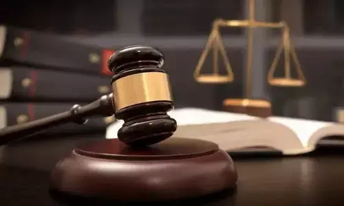 പ്രായപൂര്‍ത്തിയായ ഭാര്യയുമായി സമ്മതത്തോടെയോ അല്ലാതെയോ ലൈംഗികബന്ധത്തില്‍ ഏര്‍പ്പെടുന്നത് കുറ്റകരമല്ല; പ്രകൃതി വിരുദ്ധമായി പീഡിപ്പിച്ചാലും കുറ്റകരമല്ല; ചര്‍ച്ചയായി ഛത്തീസ്ഗഡ് ഹൈക്കോടതി വിധി