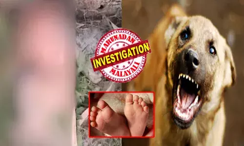 തെരുവുനായ്ക്കൾ കൂട്ടം കൂടി നിന്ന് ഭക്ഷിക്കുന്നത് ശ്രദ്ധിച്ചു; കാഴ്ച്ചയിൽ ഒരു മനുഷ്യരൂപം; നാട്ടുകാർ അടുത്തെത്തി നോക്കിയപ്പോൾ തലകറങ്ങി; നവജാതശിശുവിന്റെ മൃതദേഹം നായകൾ കടിച്ചുവലിക്കുന്നു; തല പാതിയും ഭക്ഷിച്ചു; പലരും മുഖം തിരിച്ചു നടന്നു; അന്വേഷണത്തിൽ കൂടുതൽ വിവരങ്ങൾ; ദയനീയ സംഭവം യുപി യിൽ!